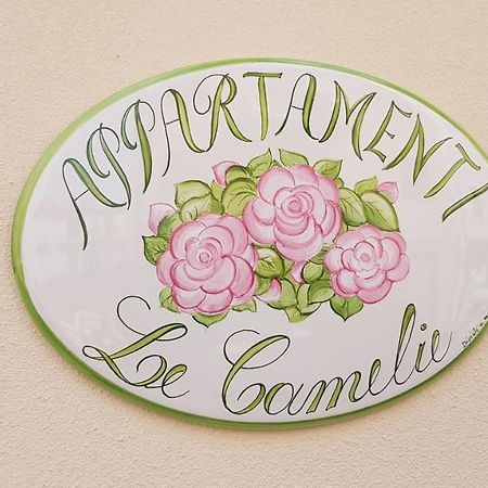 Le Camelie -Appartamenti Nuovi Porto SantʼElpidio Extérieur photo